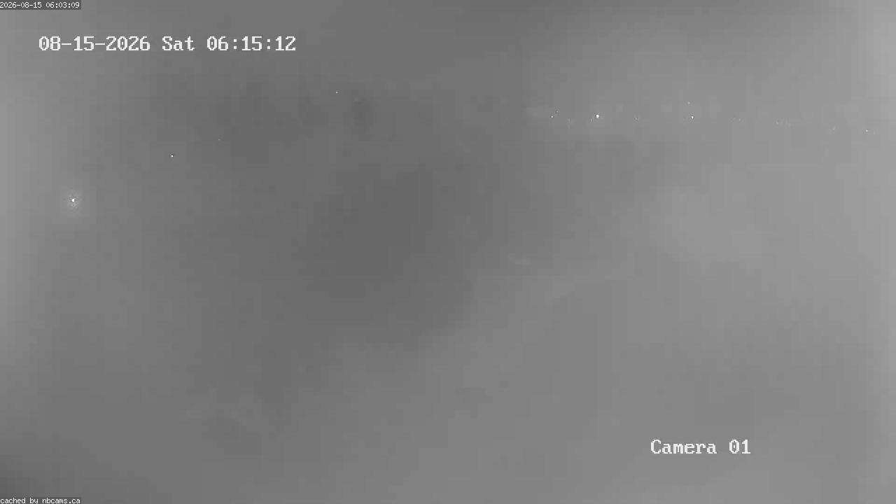 Web Cam image of Grand Falls Gorge