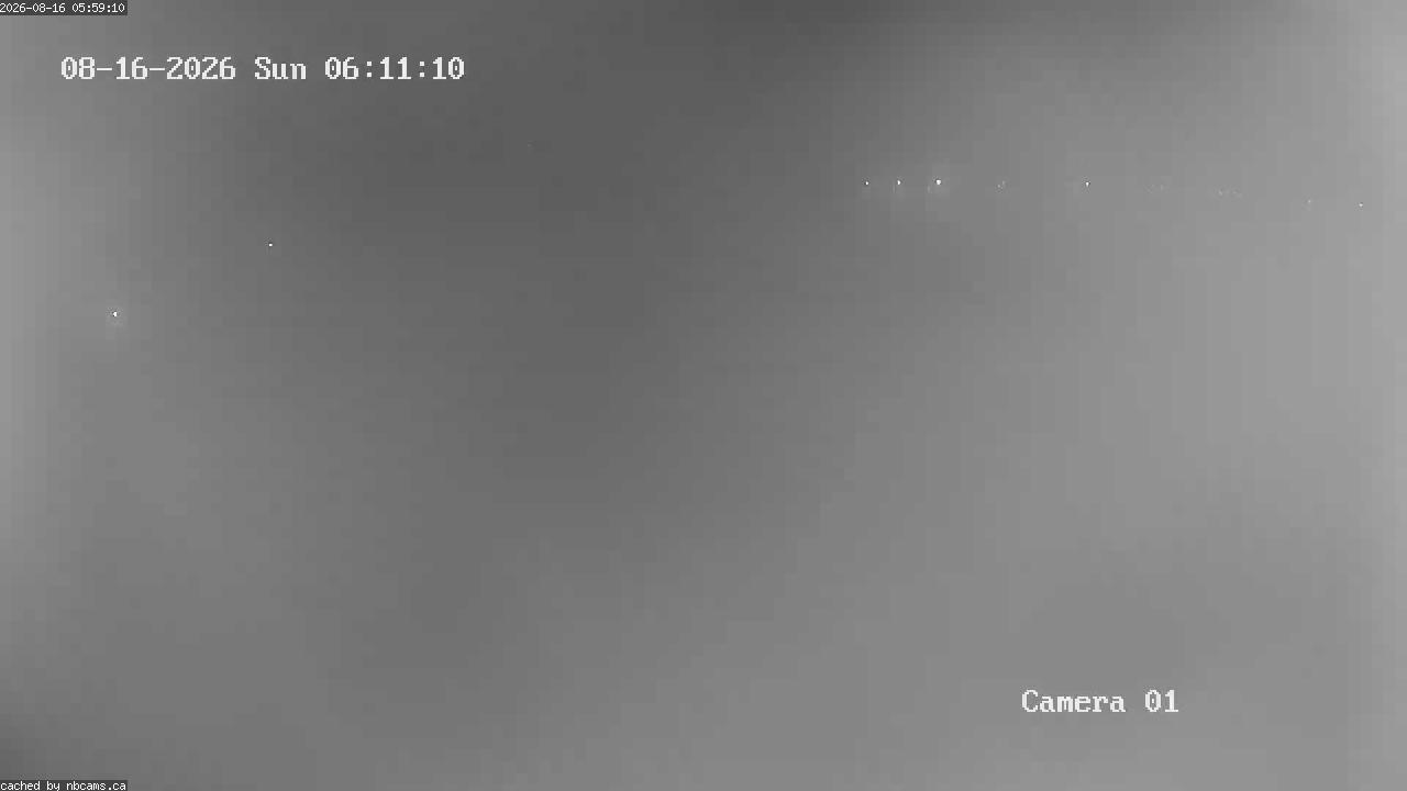 Web Cam image of Grand Falls Gorge