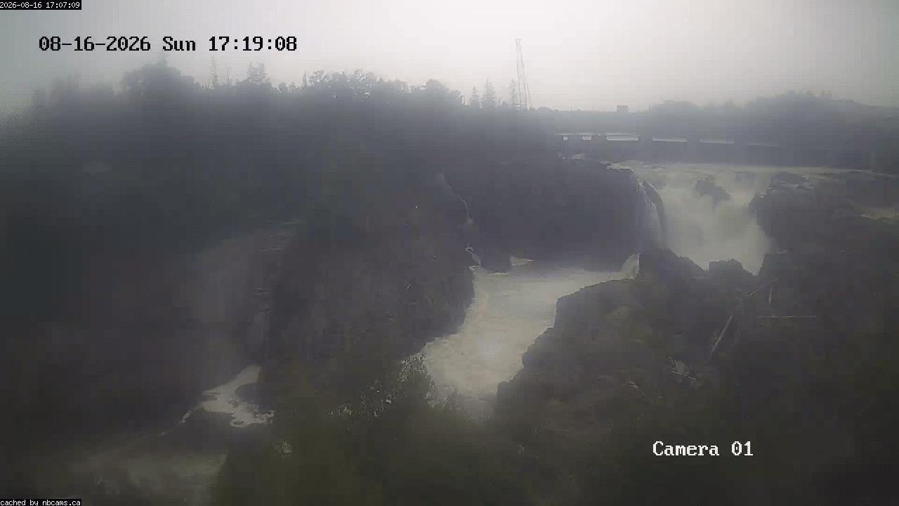 Web Cam image of Grand Falls Gorge