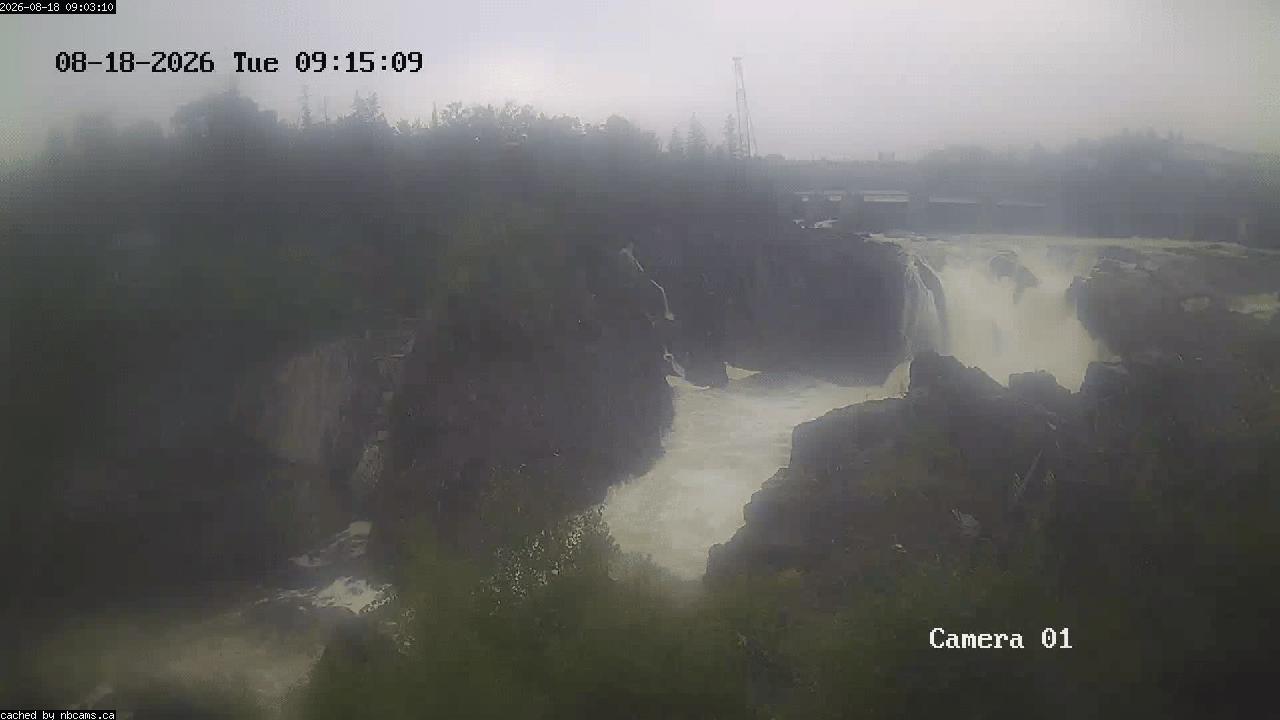 Web Cam image of Grand Falls Gorge