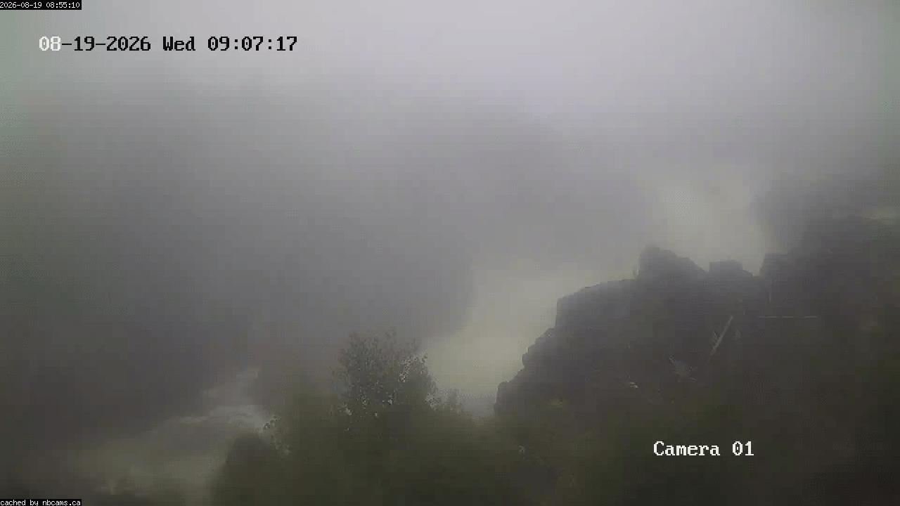 Web Cam image of Grand Falls Gorge