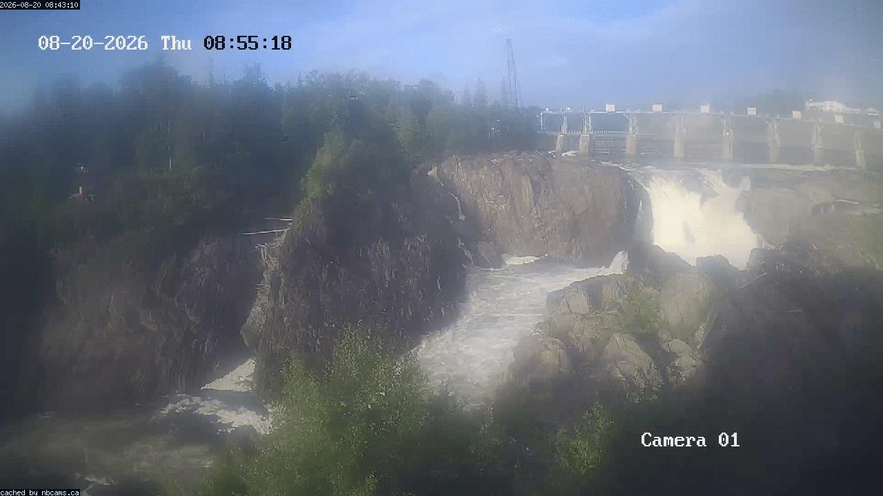 Web Cam image of Grand Falls Gorge
