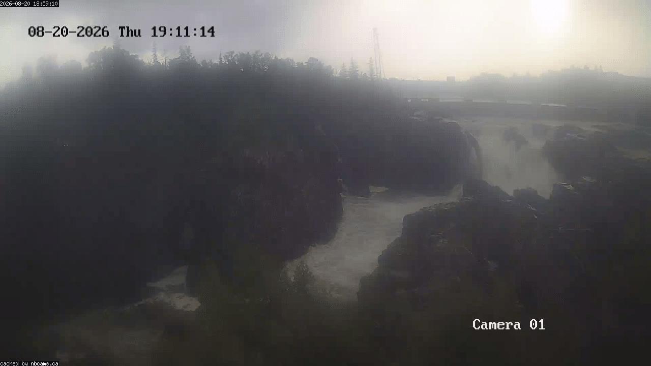 Web Cam image of Grand Falls Gorge