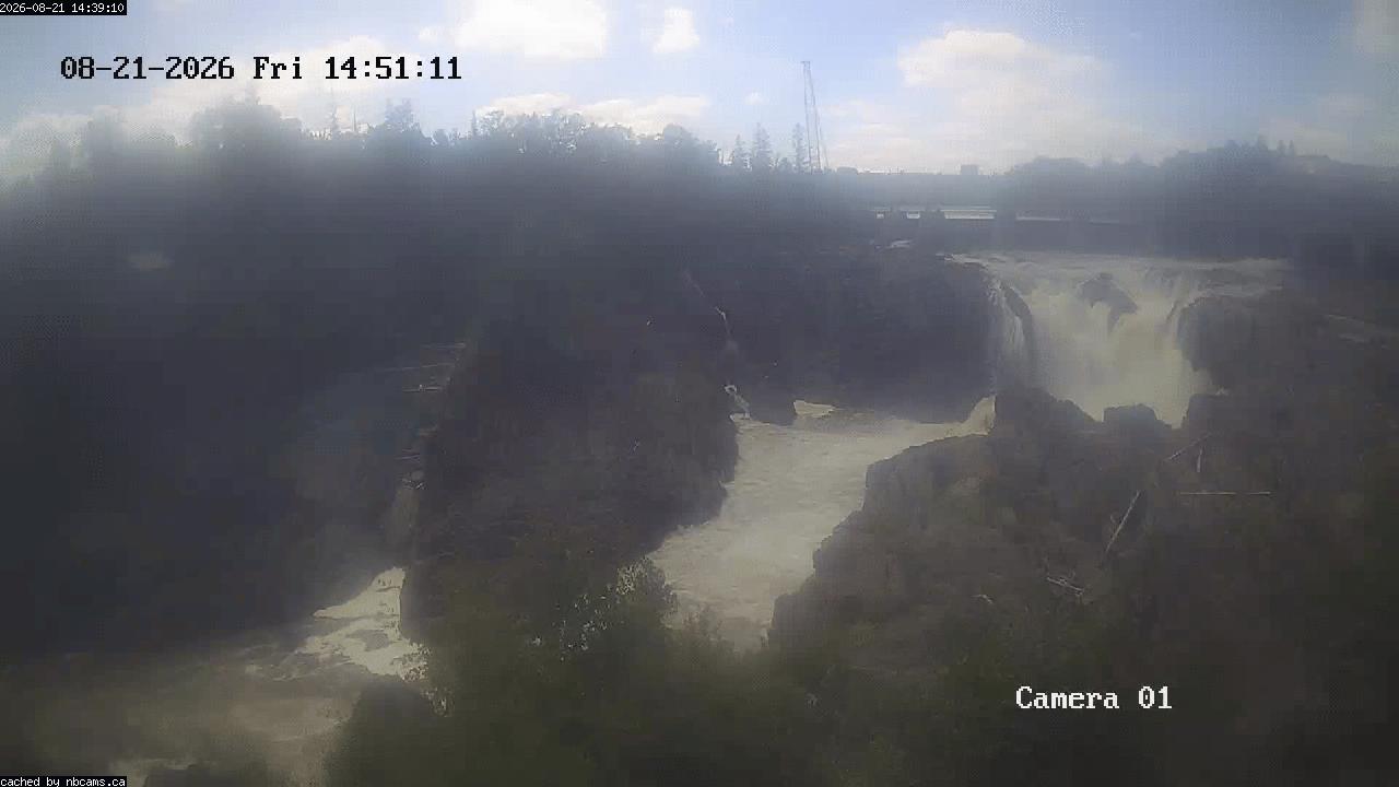 Web Cam image of Grand Falls Gorge