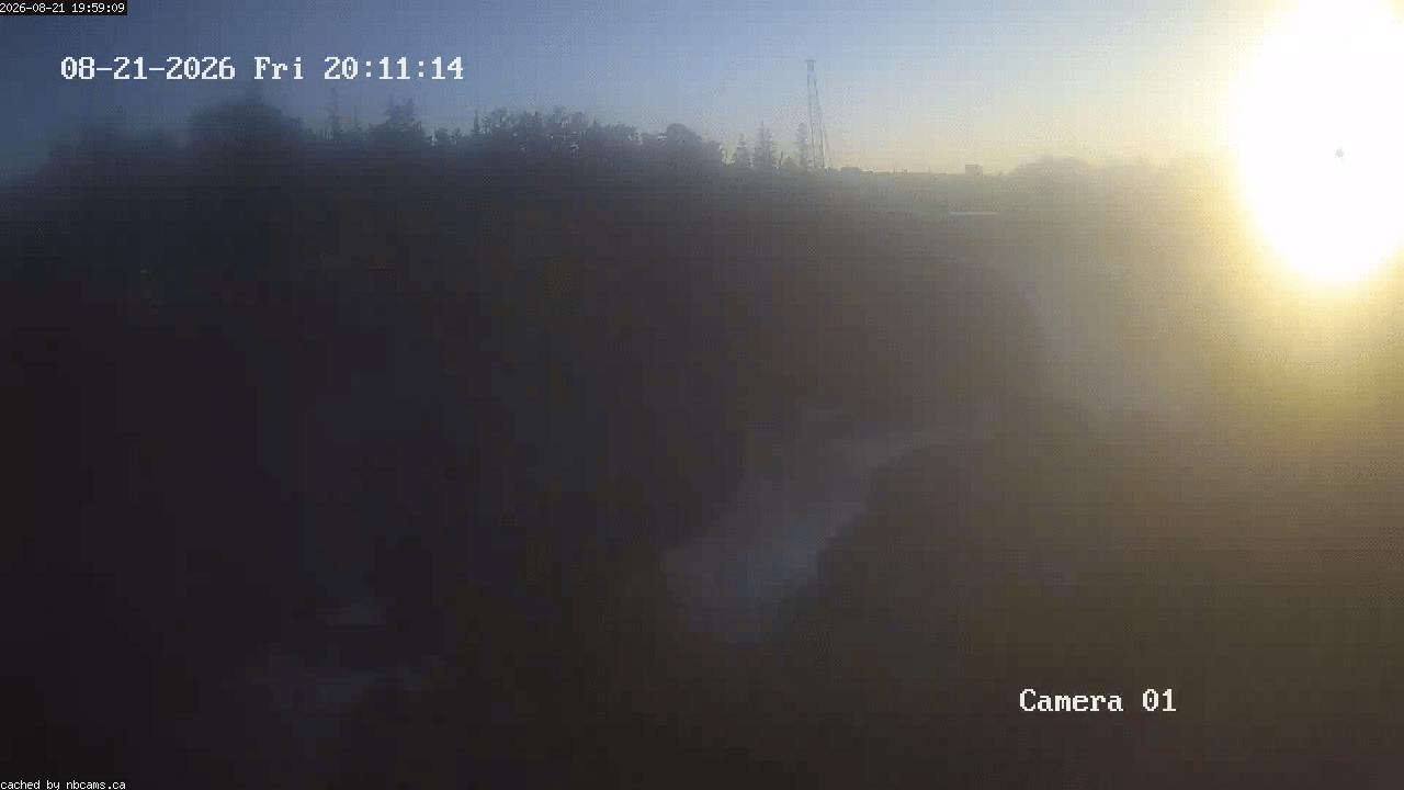 Web Cam image of Grand Falls Gorge