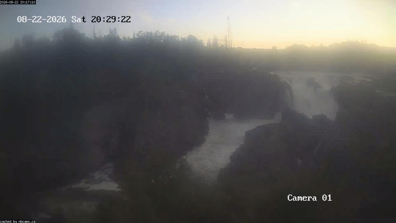 Web Cam image of Grand Falls Gorge
