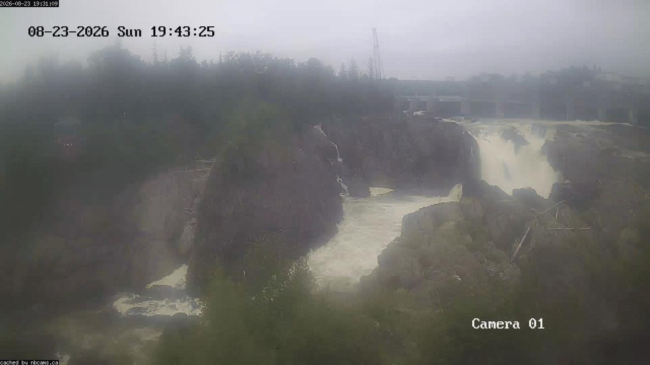 Web Cam image of Grand Falls Gorge