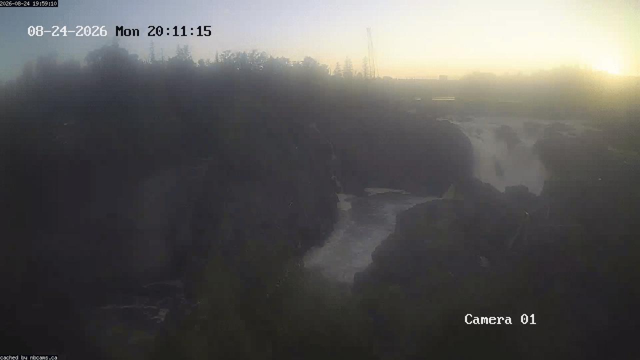 Web Cam image of Grand Falls Gorge