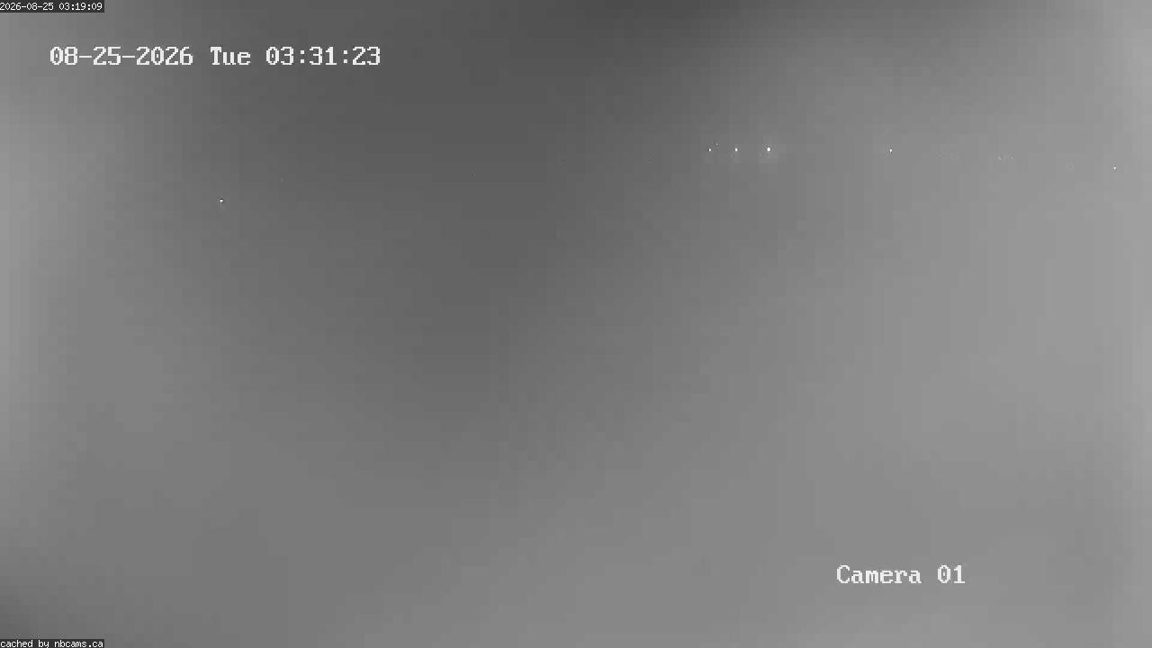 Web Cam image of Grand Falls Gorge
