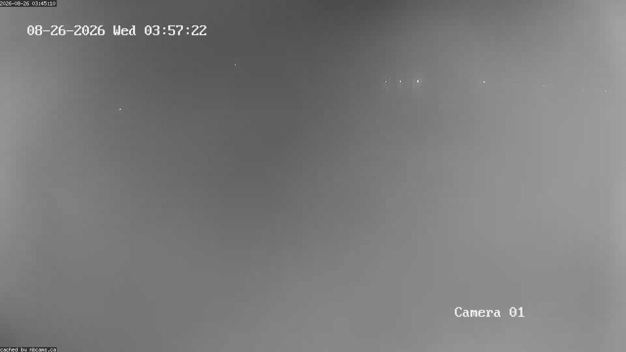 Web Cam image of Grand Falls Gorge