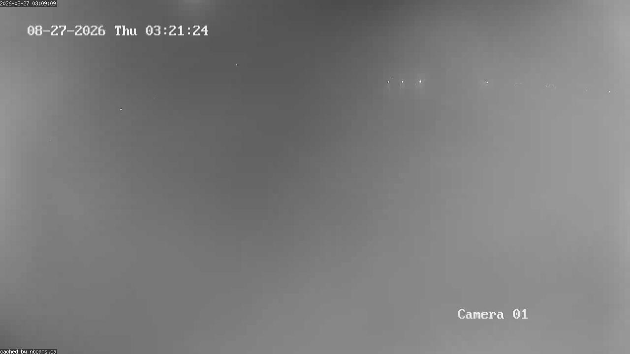 Web Cam image of Grand Falls Gorge