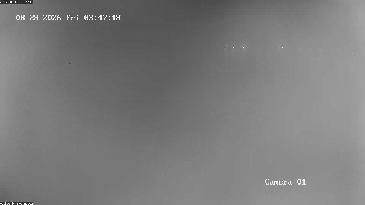 Web Cam image of Grand Falls Gorge