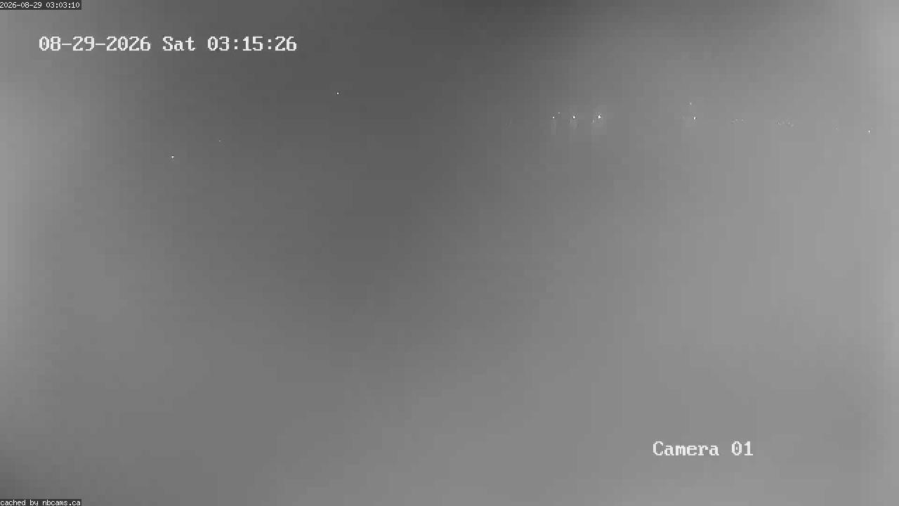 Web Cam image of Grand Falls Gorge