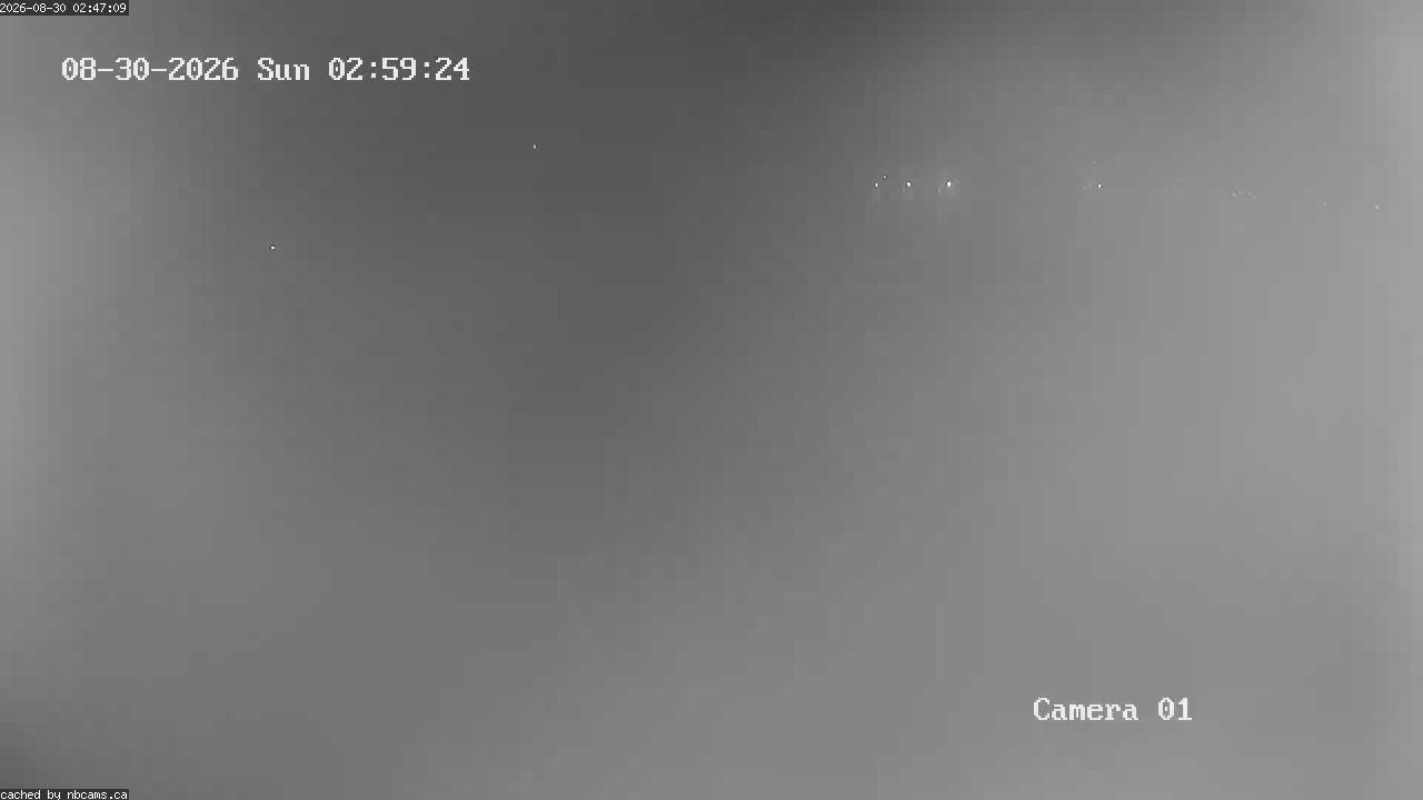 Web Cam image of Grand Falls Gorge