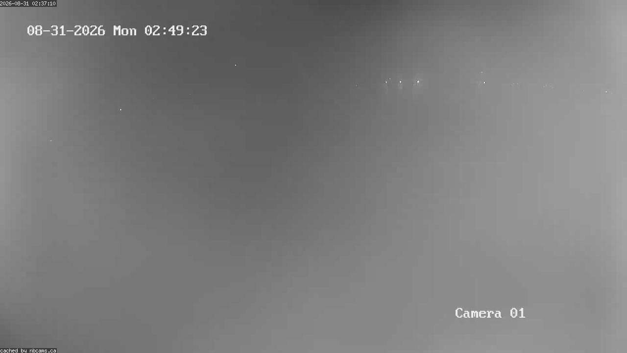 Web Cam image of Grand Falls Gorge