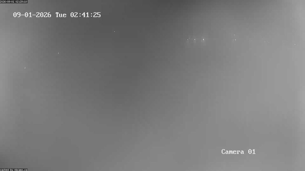 Web Cam image of Grand Falls Gorge