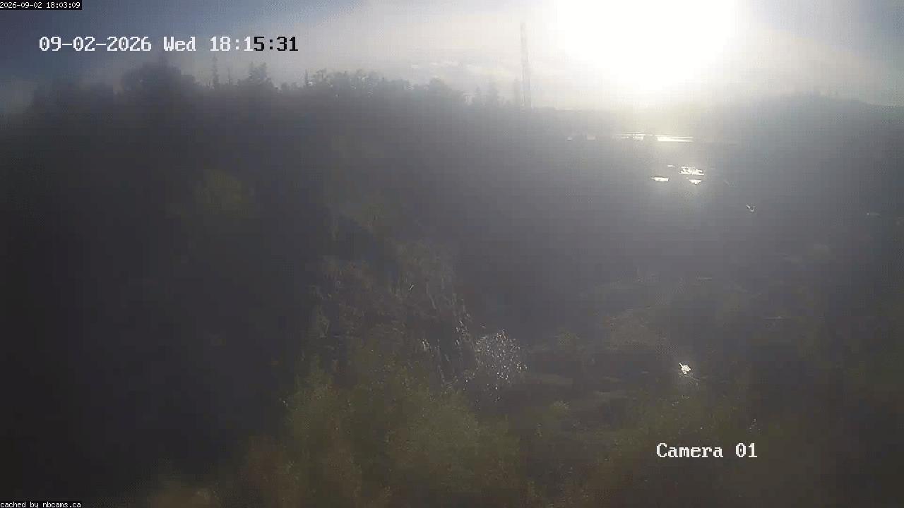 Web Cam image of Grand Falls Gorge