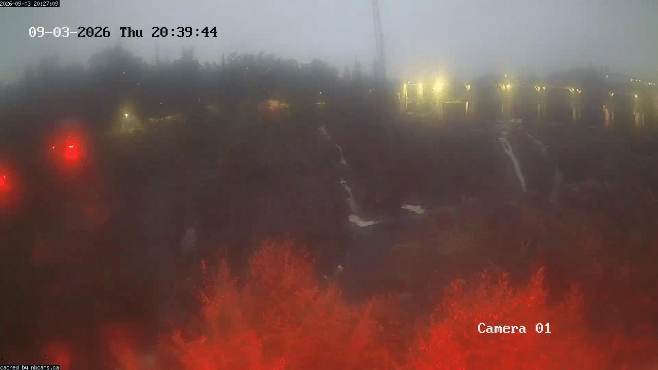 Web Cam image of Grand Falls Gorge