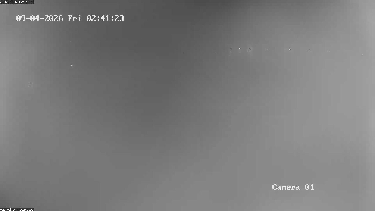 Web Cam image of Grand Falls Gorge