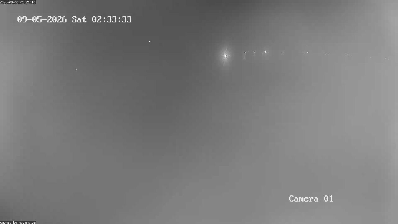 Web Cam image of Grand Falls Gorge