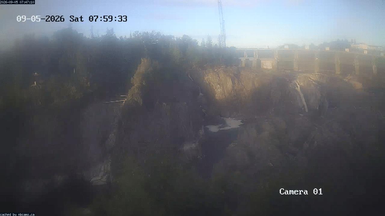 Web Cam image of Grand Falls Gorge