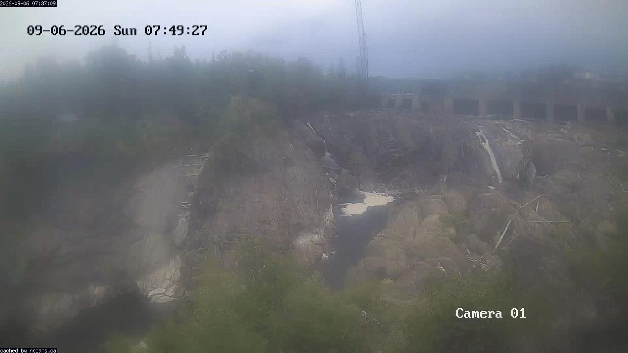 Web Cam image of Grand Falls Gorge