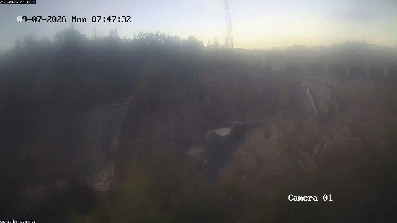 Web Cam image of Grand Falls Gorge