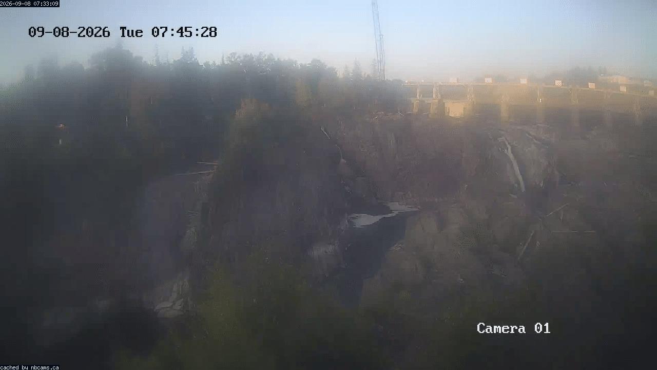 Web Cam image of Grand Falls Gorge