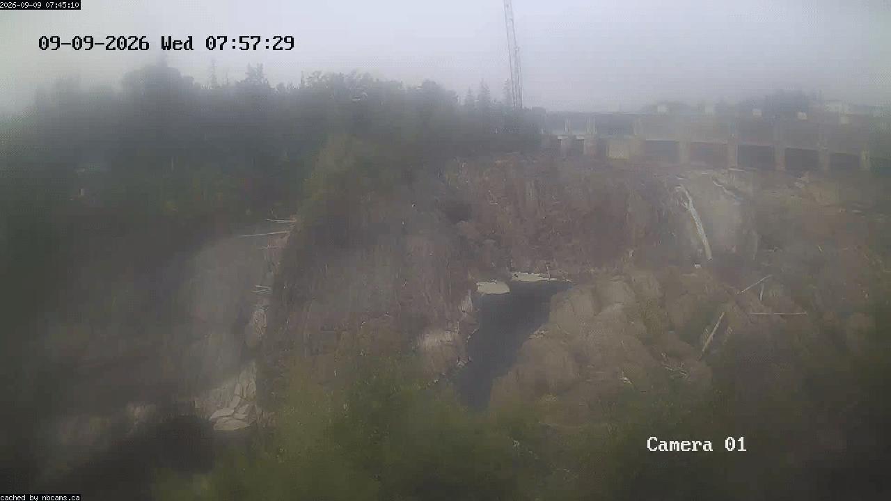 Web Cam image of Grand Falls Gorge