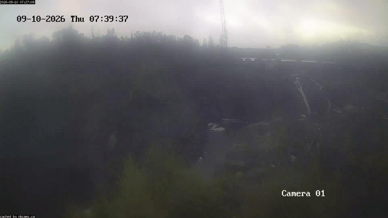 Web Cam image of Grand Falls Gorge