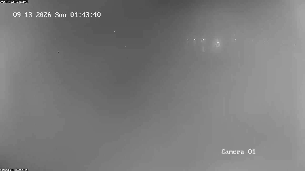 Web Cam image of Grand Falls Gorge