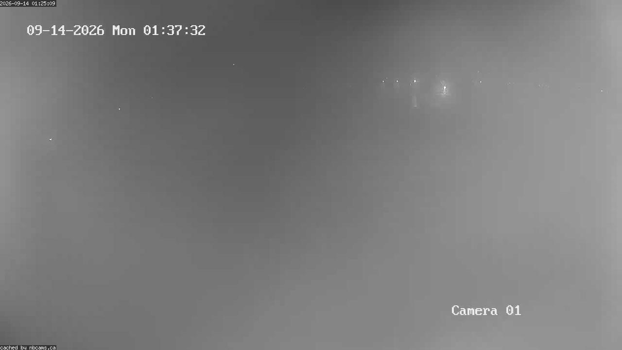 Web Cam image of Grand Falls Gorge