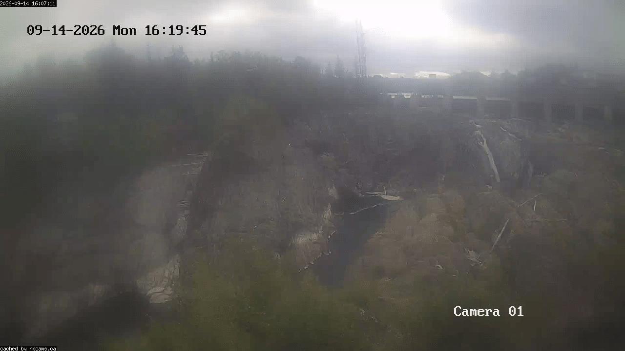 Web Cam image of Grand Falls Gorge
