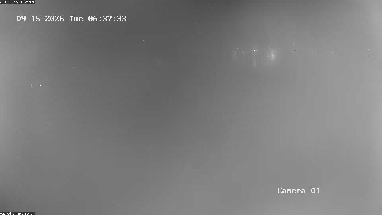 Web Cam image of Grand Falls Gorge