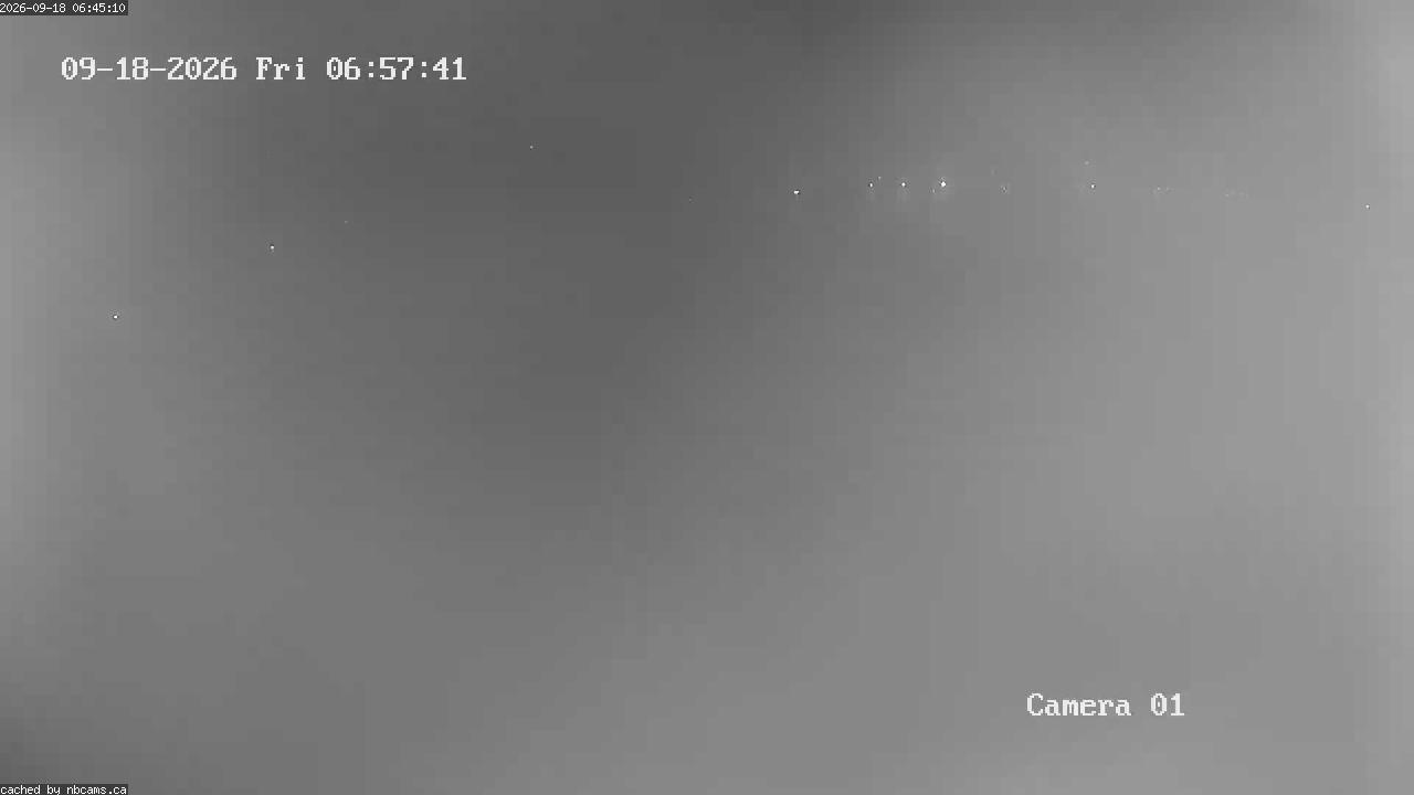 Web Cam image of Grand Falls Gorge
