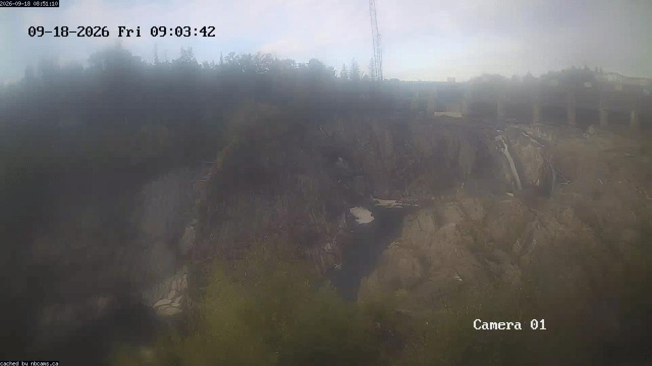 Web Cam image of Grand Falls Gorge