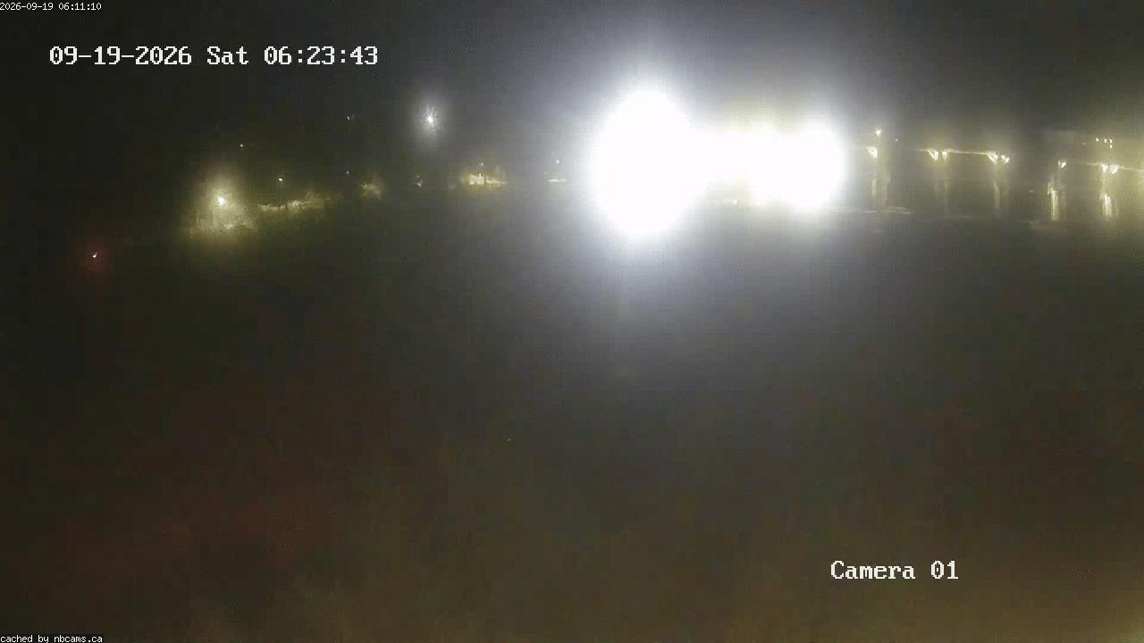 Web Cam image of Grand Falls Gorge