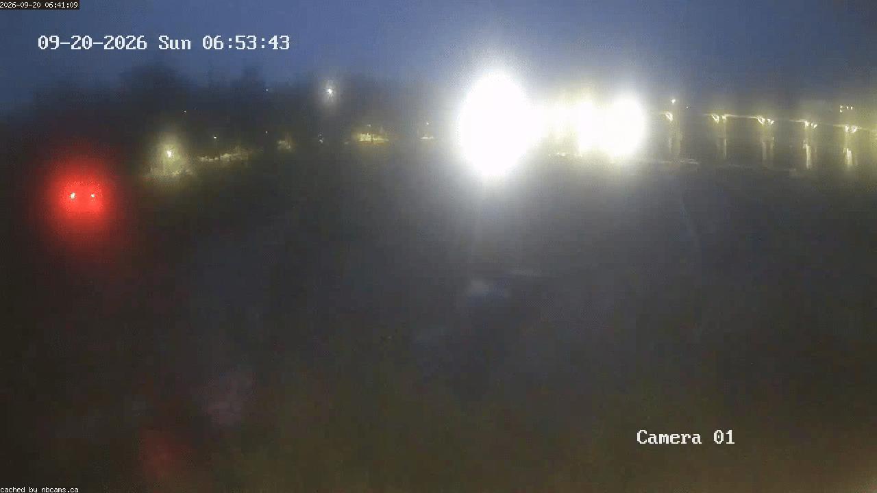 Web Cam image of Grand Falls Gorge