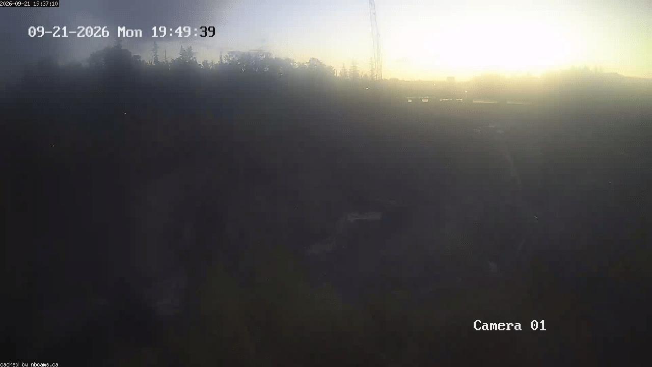 Web Cam image of Grand Falls Gorge