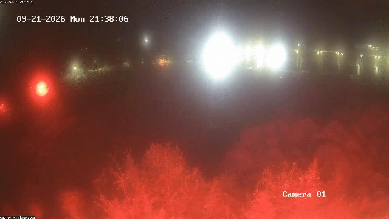 Web Cam image of Grand Falls Gorge