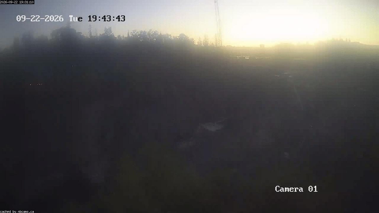 Web Cam image of Grand Falls Gorge