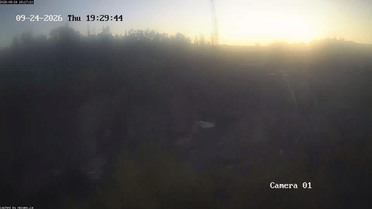Web Cam image of Grand Falls Gorge