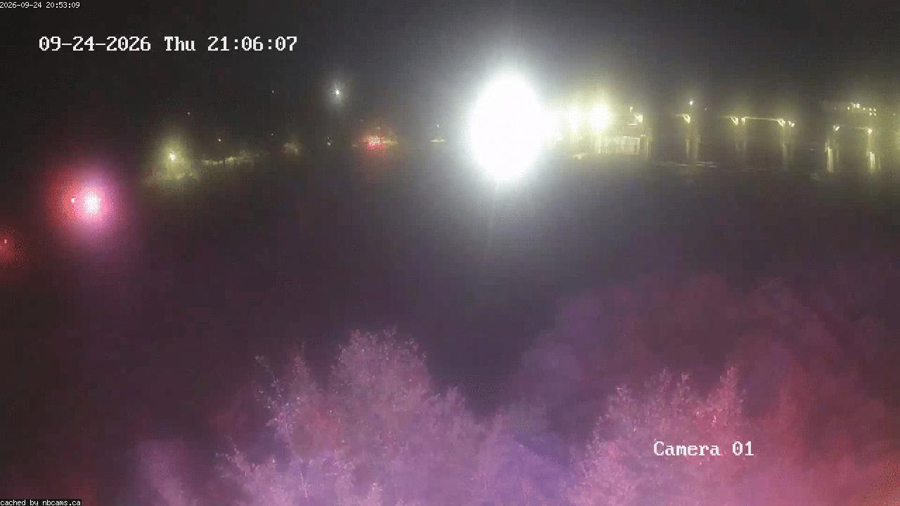 Web Cam image of Grand Falls Gorge