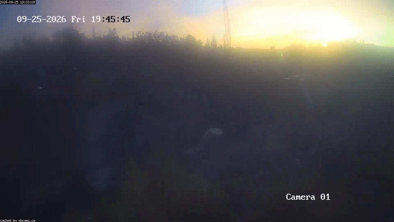 Web Cam image of Grand Falls Gorge
