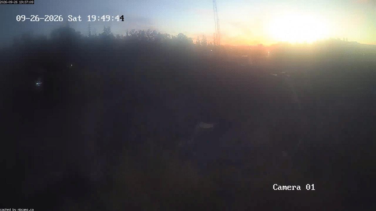 Web Cam image of Grand Falls Gorge