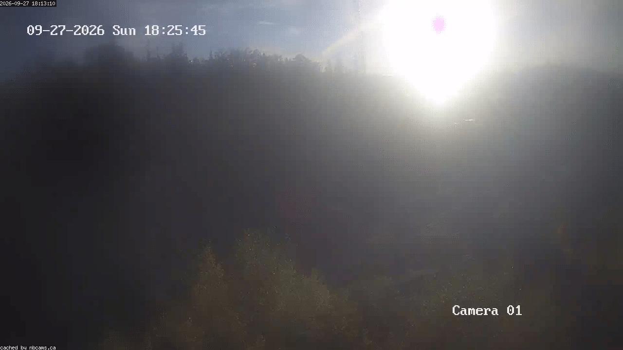 Web Cam image of Grand Falls Gorge