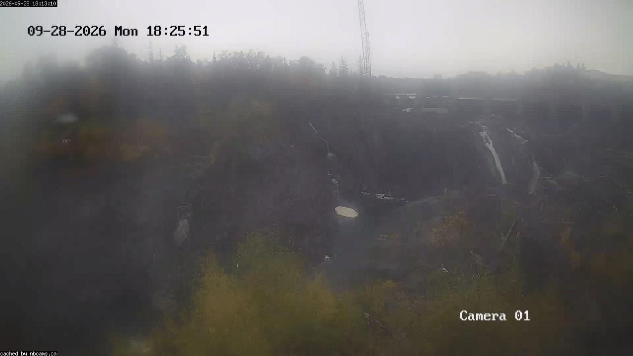 Web Cam image of Grand Falls Gorge