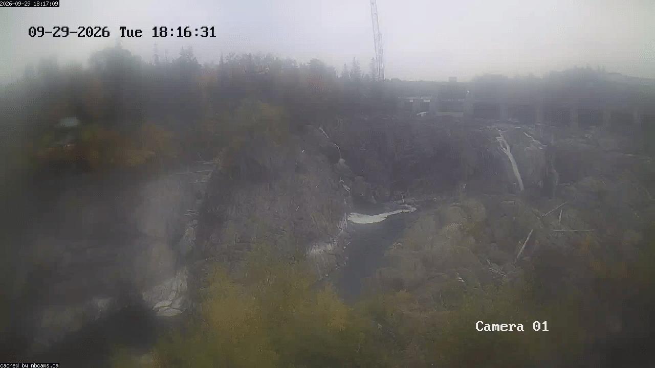 Web Cam image of Grand Falls Gorge