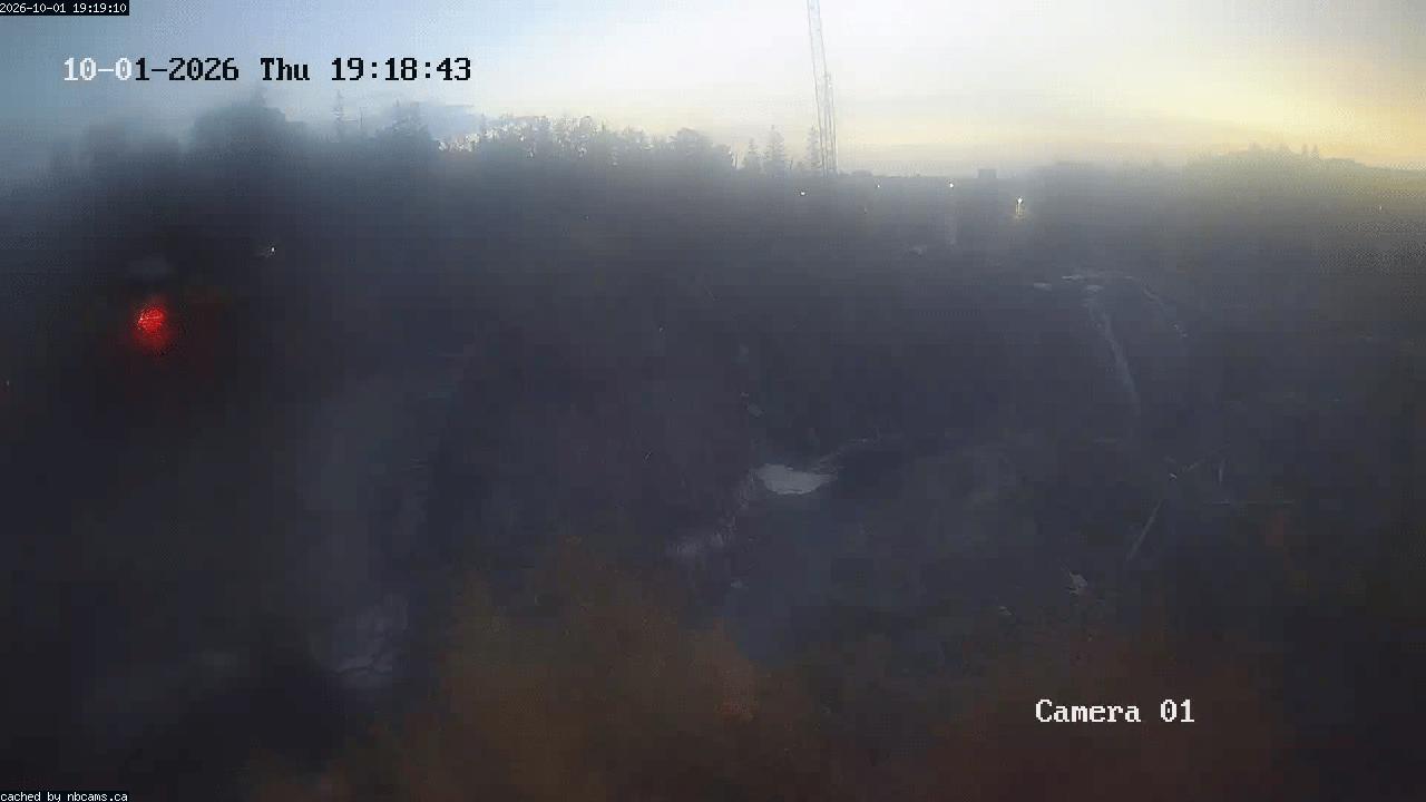 Web Cam image of Grand Falls Gorge