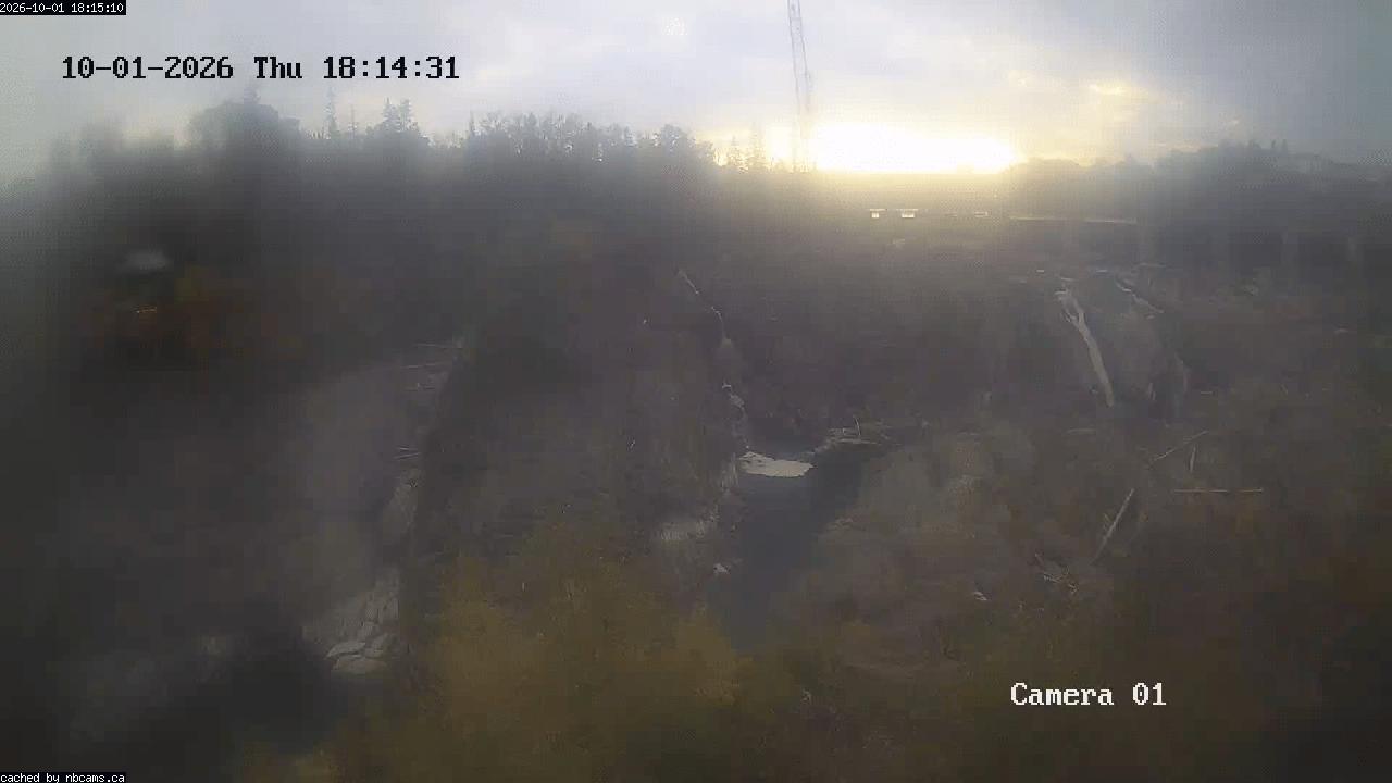 Web Cam image of Grand Falls Gorge